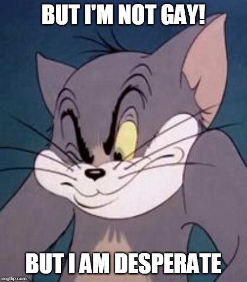 Tom cat | BUT I'M NOT GAY! BUT I AM DESPERATE | image tagged in tom cat | made w/ Imgflip meme maker