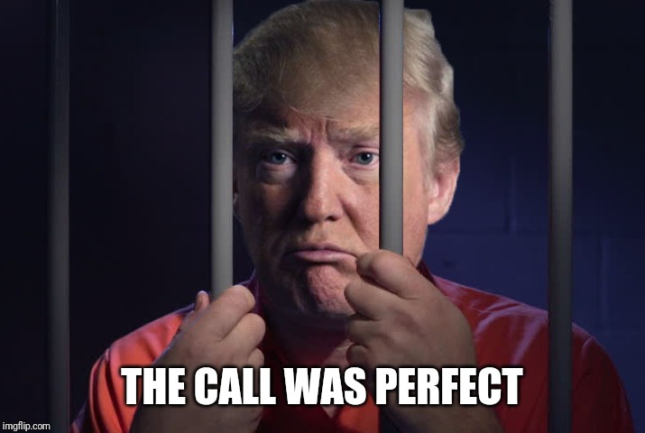 Trump Prison | THE CALL WAS PERFECT | image tagged in trump prison | made w/ Imgflip meme maker