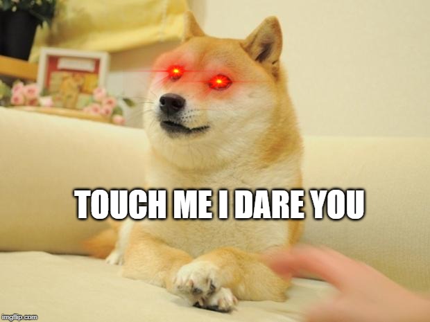 Doge 2 Meme | TOUCH ME I DARE YOU | image tagged in memes,doge 2 | made w/ Imgflip meme maker
