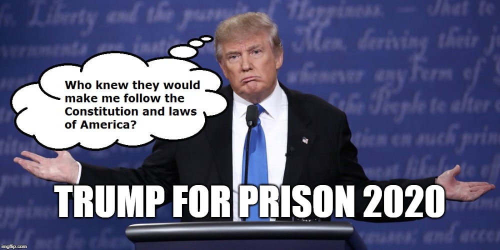 TRUMP FOR PRISON 2020 | TRUMP FOR PRISON 2020 | image tagged in trump for prison 2020,laws,constitution,idiot,trump | made w/ Imgflip meme maker