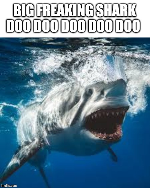 Mommy shark do do do do do | BIG FREAKING SHARK DOO DOO DOO DOO DOO | image tagged in mommy shark do do do do do | made w/ Imgflip meme maker