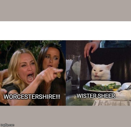 Woman Yelling At Cat Meme | WORCESTERSHIRE!!! WISTER SHEER | image tagged in memes,woman yelling at a cat | made w/ Imgflip meme maker