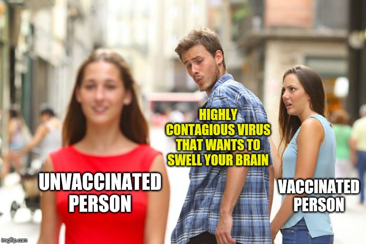 Simple explanation of vaccinations.... | HIGHLY CONTAGIOUS VIRUS THAT WANTS TO SWELL YOUR BRAIN; VACCINATED PERSON; UNVACCINATED PERSON | image tagged in memes,distracted boyfriend | made w/ Imgflip meme maker