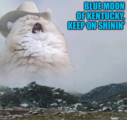 Country Roads Cat | BLUE MOON
OF KENTUCKY,
KEEP ON SHININ' | image tagged in country roads cat | made w/ Imgflip meme maker