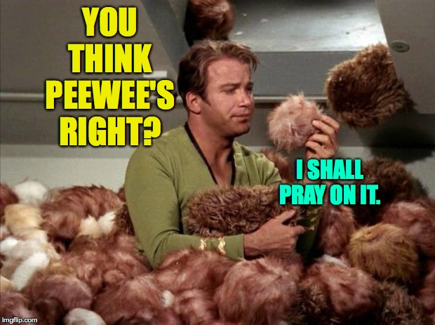 YOU THINK PEEWEE'S RIGHT? I SHALL PRAY ON IT. | made w/ Imgflip meme maker