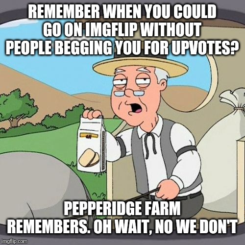 Pepperidge Farm Remembers Meme | REMEMBER WHEN YOU COULD GO ON IMGFLIP WITHOUT PEOPLE BEGGING YOU FOR UPVOTES? PEPPERIDGE FARM REMEMBERS. OH WAIT, NO WE DON'T | image tagged in memes,pepperidge farm remembers | made w/ Imgflip meme maker