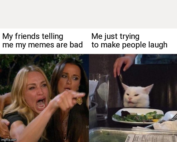Woman Yelling At Cat | My friends telling me my memes are bad; Me just trying to make people laugh | image tagged in memes,woman yelling at a cat | made w/ Imgflip meme maker