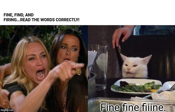 Woman Yelling At Cat Meme | FINE, FIND, AND FIRING...READ THE WORDS CORRECTLY! Fine fine fiiine. | image tagged in memes,woman yelling at a cat | made w/ Imgflip meme maker