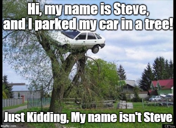 Secure Parking | Hi, my name is Steve, and I parked my car in a tree! Just Kidding, My name isn't Steve | image tagged in memes,secure parking | made w/ Imgflip meme maker