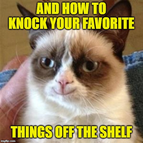 Grumpy Cat Smile | AND HOW TO KNOCK YOUR FAVORITE THINGS OFF THE SHELF | image tagged in grumpy cat smile | made w/ Imgflip meme maker