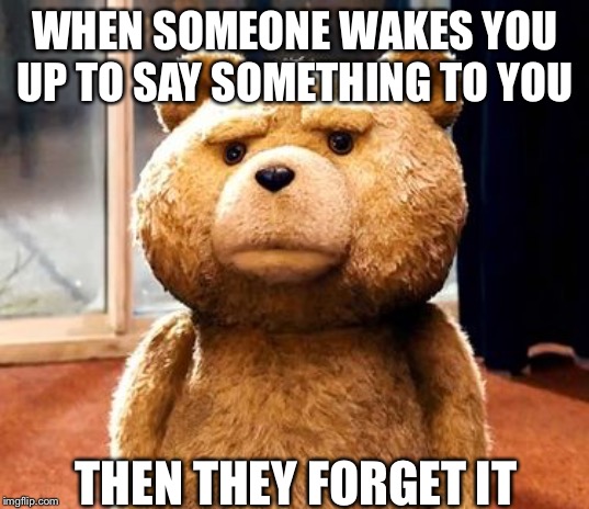 TED Meme | WHEN SOMEONE WAKES YOU UP TO SAY SOMETHING TO YOU; THEN THEY FORGET IT | image tagged in memes,ted | made w/ Imgflip meme maker