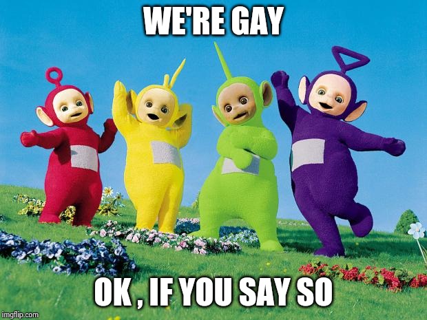 teletubbies | WE'RE GAY OK , IF YOU SAY SO | image tagged in teletubbies | made w/ Imgflip meme maker