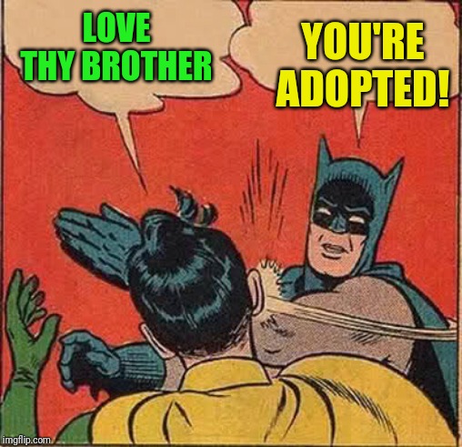 Batman Slapping Robin | YOU'RE ADOPTED! LOVE THY BROTHER | image tagged in memes,batman slapping robin | made w/ Imgflip meme maker