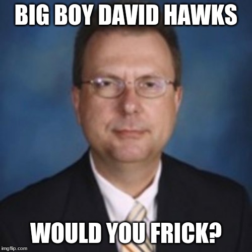 David Hawks Dsa Memes | BIG BOY DAVID HAWKS; WOULD YOU FRICK? | image tagged in birds | made w/ Imgflip meme maker