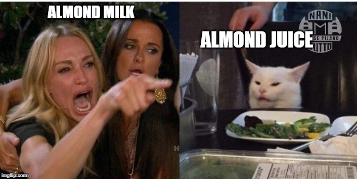 white cat table | ALMOND MILK; ALMOND JUICE | image tagged in white cat table | made w/ Imgflip meme maker