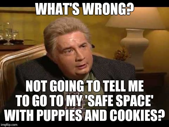 The libtard turn around | WHAT'S WRONG? NOT GOING TO TELL ME TO GO TO MY 'SAFE SPACE' WITH PUPPIES AND COOKIES? | image tagged in jiminy glick,leftists | made w/ Imgflip meme maker