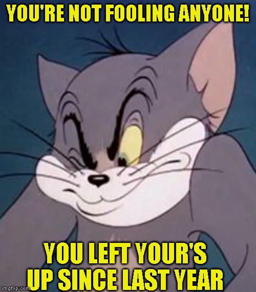 Tom cat | YOU'RE NOT FOOLING ANYONE! YOU LEFT YOUR'S UP SINCE LAST YEAR | image tagged in tom cat | made w/ Imgflip meme maker