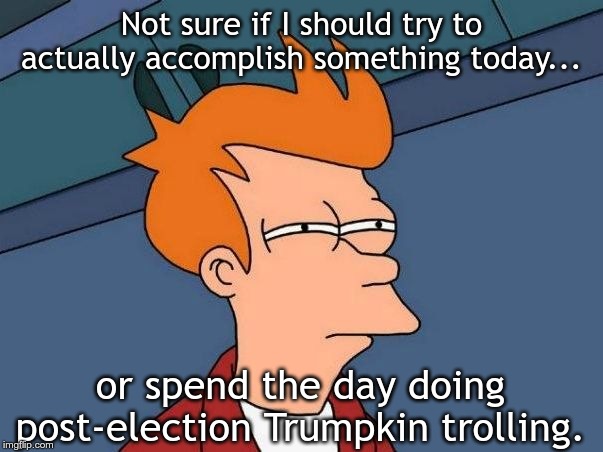 Not sure if- fry | Not sure if I should try to actually accomplish something today... or spend the day doing post-election Trumpkin trolling. | image tagged in not sure if- fry | made w/ Imgflip meme maker