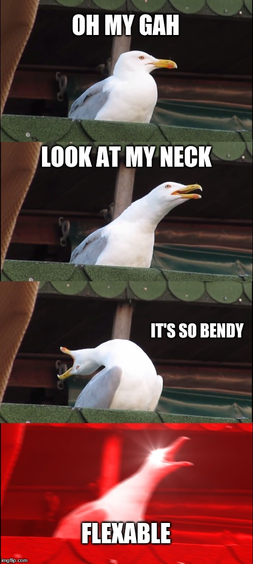 Inhaling Seagull | OH MY GAH; LOOK AT MY NECK; IT'S SO BENDY; FLEXABLE | image tagged in memes,inhaling seagull | made w/ Imgflip meme maker