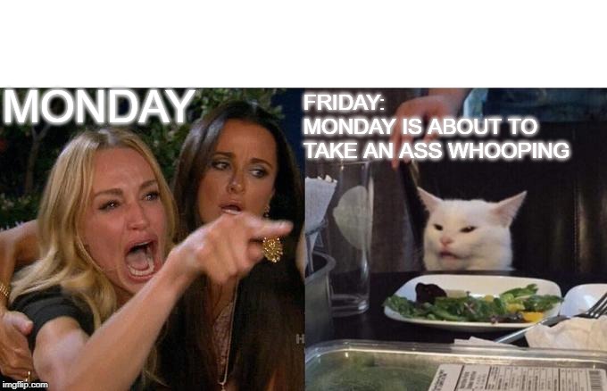 Woman Yelling At Cat | FRIDAY: 
MONDAY IS ABOUT TO TAKE AN ASS WHOOPING; MONDAY | image tagged in memes,woman yelling at a cat | made w/ Imgflip meme maker