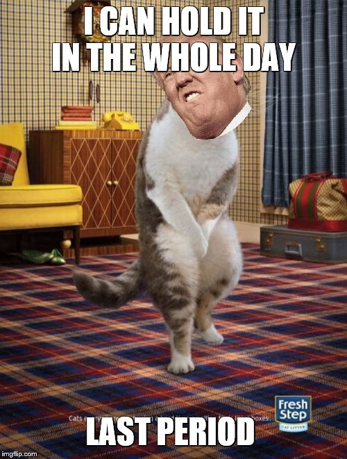 Gotta Go Cat Meme | I CAN HOLD IT IN THE WHOLE DAY; LAST PERIOD | image tagged in memes,gotta go cat | made w/ Imgflip meme maker