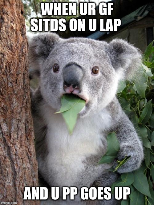 Surprised Koala | WHEN UR GF SITDS ON U LAP; AND U PP GOES UP | image tagged in memes,surprised koala | made w/ Imgflip meme maker