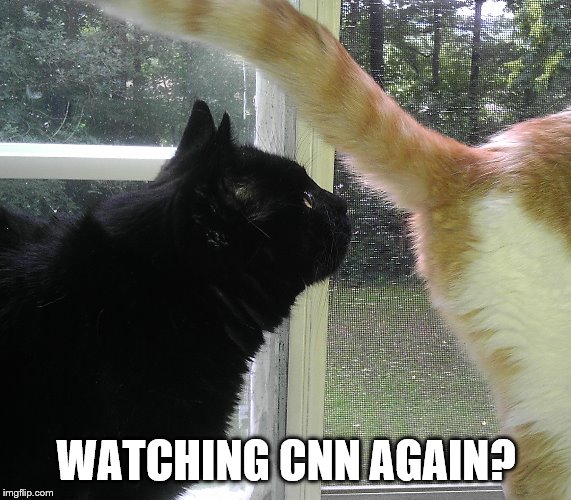 Watching CNN again? | WATCHING CNN AGAIN? | image tagged in cats,memes,cnn,butt | made w/ Imgflip meme maker