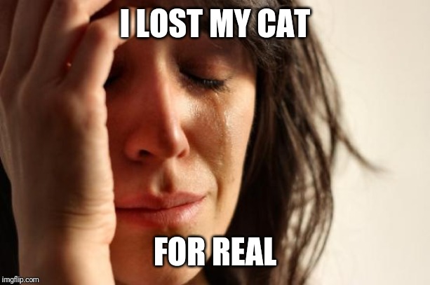 First World Problems Meme | I LOST MY CAT; FOR REAL | image tagged in memes,first world problems | made w/ Imgflip meme maker