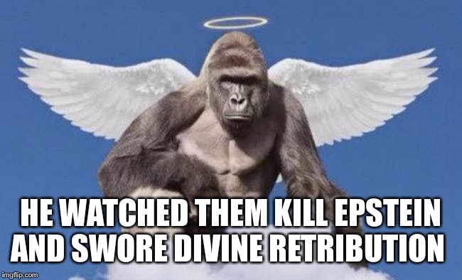Harambe is coming for y’all | HE WATCHED THEM KILL EPSTEIN AND SWORE DIVINE RETRIBUTION | image tagged in harambe,epstein | made w/ Imgflip meme maker