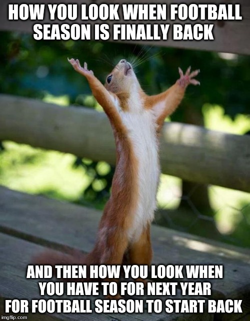 Happy Squirrel | HOW YOU LOOK WHEN FOOTBALL SEASON IS FINALLY BACK; AND THEN HOW YOU LOOK WHEN YOU HAVE TO FOR NEXT YEAR FOR FOOTBALL SEASON TO START BACK | image tagged in happy squirrel | made w/ Imgflip meme maker