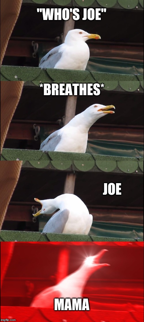 Inhaling Seagull | "WHO'S JOE"; *BREATHES*; JOE; MAMA | image tagged in memes,inhaling seagull | made w/ Imgflip meme maker
