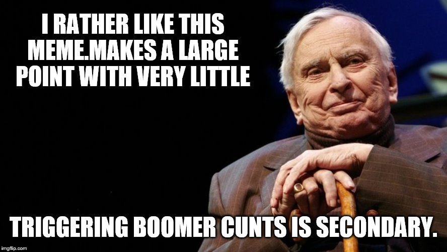 I RATHER LIKE THIS MEME.MAKES A LARGE POINT WITH VERY LITTLE TRIGGERING BOOMER C**TS IS SECONDARY. | made w/ Imgflip meme maker