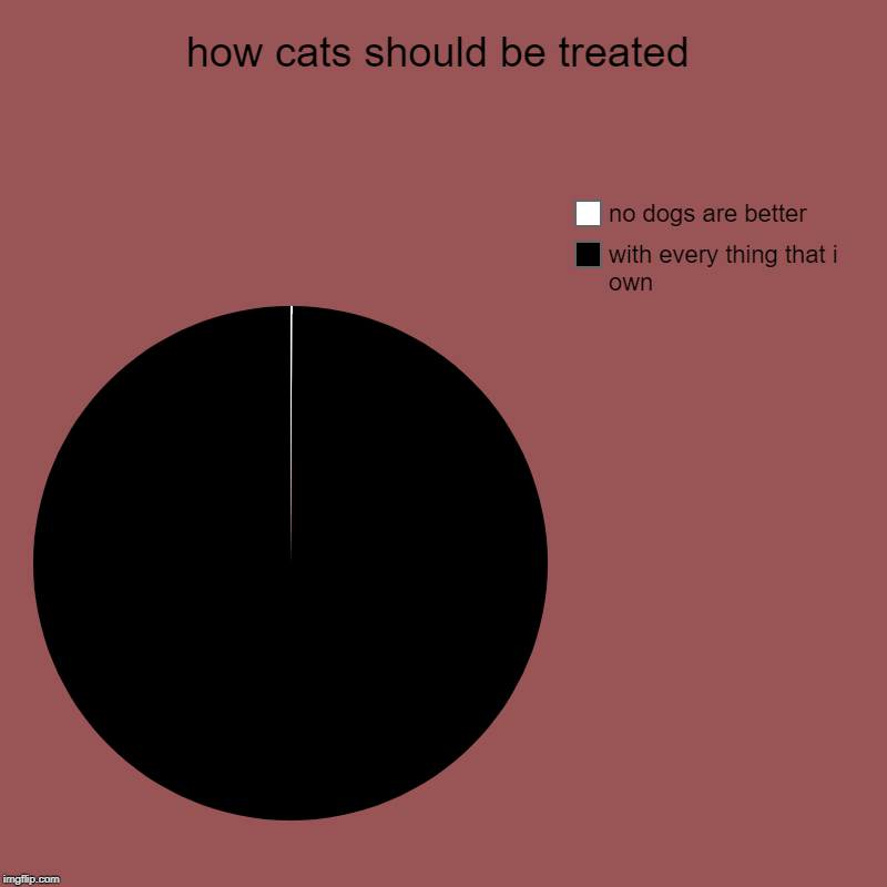 how cats should be treated | with every thing that i own, no dogs are better | image tagged in charts,pie charts | made w/ Imgflip chart maker