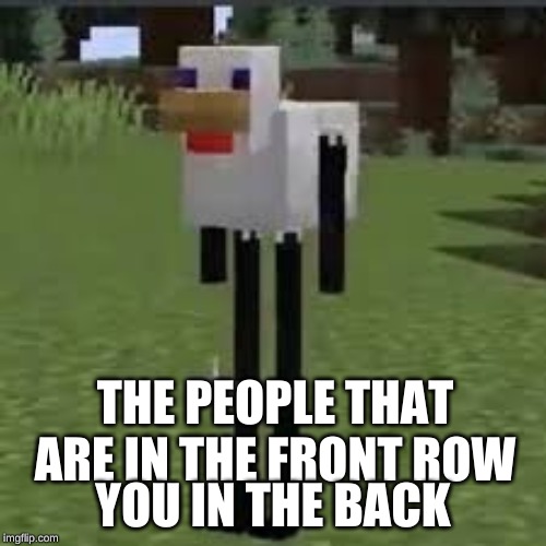 the chicken enderman | THE PEOPLE THAT ARE IN THE FRONT ROW; YOU IN THE BACK | image tagged in the chicken enderman | made w/ Imgflip meme maker