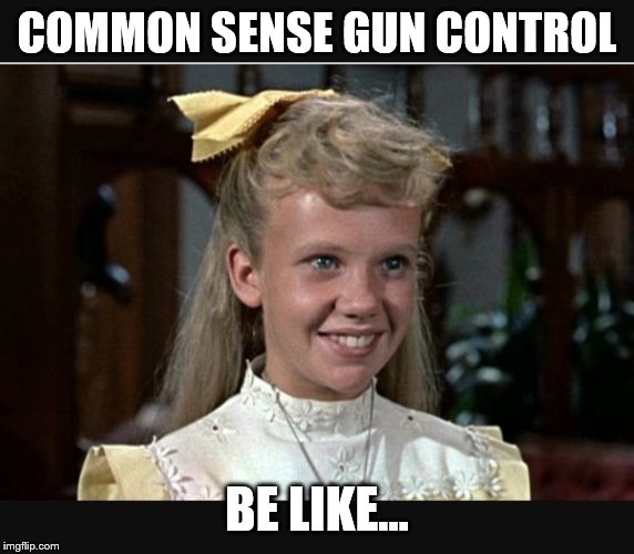 common sense gun control be like... | COMMON SENSE GUN CONTROL; BE LIKE... | image tagged in pollyanna,common sense,gun control,what if they had a war and nobody came | made w/ Imgflip meme maker