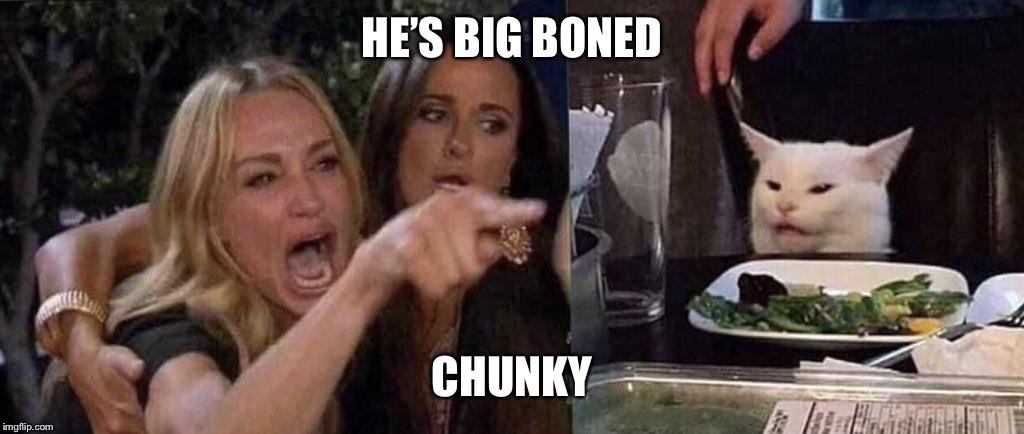 woman yelling at cat | HE’S BIG BONED; CHUNKY | image tagged in woman yelling at cat | made w/ Imgflip meme maker