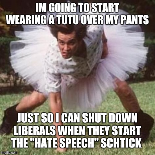 Tutu | IM GOING TO START WEARING A TUTU OVER MY PANTS; JUST SO I CAN SHUT DOWN LIBERALS WHEN THEY START THE "HATE SPEECH" SCHTICK | image tagged in tutu | made w/ Imgflip meme maker