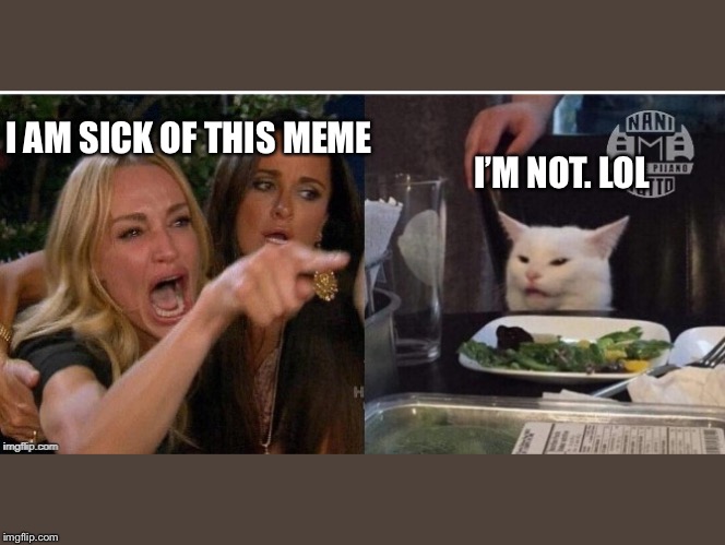 white cat table | I AM SICK OF THIS MEME; I’M NOT. LOL | image tagged in white cat table | made w/ Imgflip meme maker