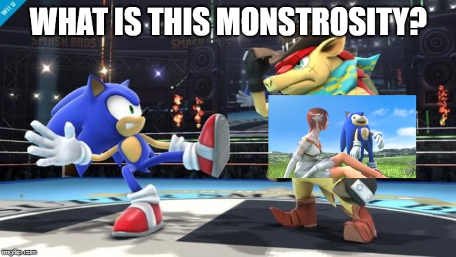 Sonic 06 is awful | WHAT IS THIS MONSTROSITY? | image tagged in shocked sonic,sonic 06,sonic the hedgehog | made w/ Imgflip meme maker