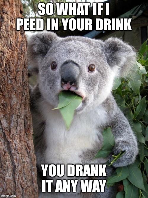 Surprised Koala Meme | SO WHAT IF I PEED IN YOUR DRINK; YOU DRANK IT ANY WAY | image tagged in memes,surprised koala | made w/ Imgflip meme maker