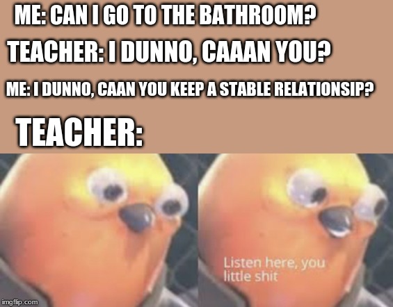 Listen here you little shit bird |  ME: CAN I GO TO THE BATHROOM? TEACHER: I DUNNO, CAAAN YOU? ME: I DUNNO, CAAN YOU KEEP A STABLE RELATIONSIP? TEACHER: | image tagged in listen here you little shit bird | made w/ Imgflip meme maker