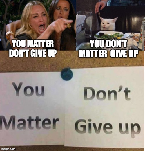 YOU DON'T MATTER  GIVE UP; YOU MATTER DON'T GIVE UP | image tagged in lady yelling at cat | made w/ Imgflip meme maker