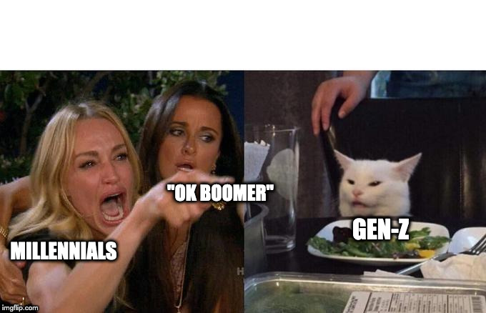 Woman Yelling At Cat Meme | "OK BOOMER"; GEN-Z; MILLENNIALS | image tagged in memes,woman yelling at a cat | made w/ Imgflip meme maker