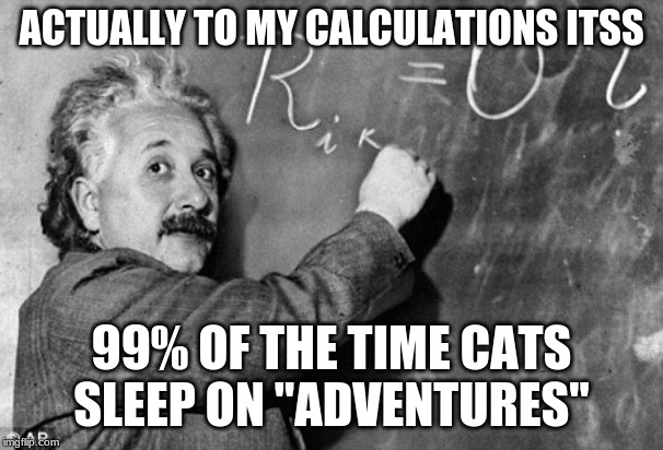 Smart | ACTUALLY TO MY CALCULATIONS ITSS 99% OF THE TIME CATS SLEEP ON "ADVENTURES" | image tagged in smart | made w/ Imgflip meme maker