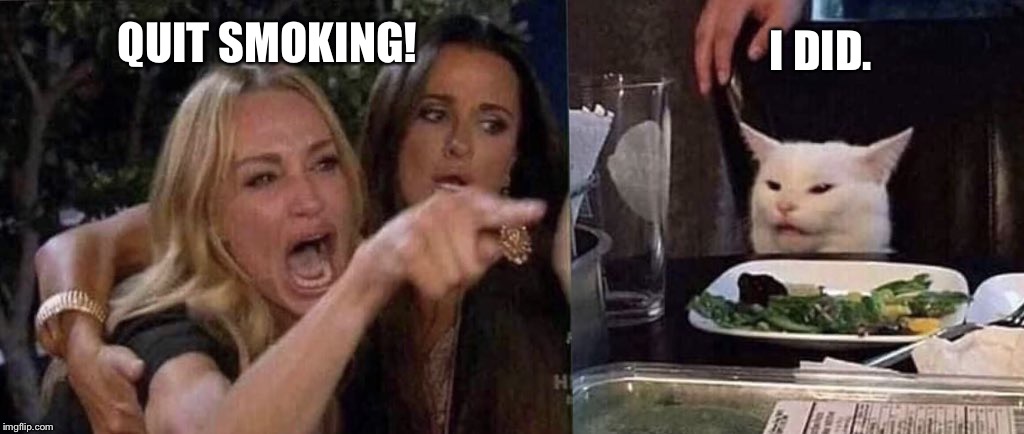 woman yelling at cat | I DID. QUIT SMOKING! | image tagged in woman yelling at cat | made w/ Imgflip meme maker