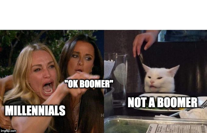 Woman Yelling At Cat Meme | "OK BOOMER"; NOT A BOOMER; MILLENNIALS | image tagged in memes,woman yelling at a cat | made w/ Imgflip meme maker