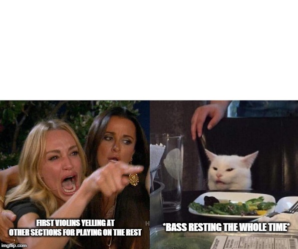 two woman yelling at a cat | *BASS RESTING THE WHOLE TIME*; FIRST VIOLINS YELLING AT OTHER SECTIONS FOR PLAYING ON THE REST | image tagged in two woman yelling at a cat | made w/ Imgflip meme maker