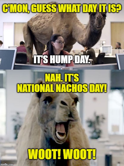 Guess what day it is? It's Nachos Day! | C'MON, GUESS WHAT DAY IT IS? IT'S HUMP DAY. NAH. IT'S NATIONAL NACHOS DAY! WOOT! WOOT! | image tagged in hump day camel,geico camel hump day,memes,nachos,holiday,mexican food | made w/ Imgflip meme maker