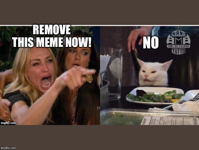 white cat table | NO; REMOVE THIS MEME NOW! | image tagged in white cat table | made w/ Imgflip meme maker