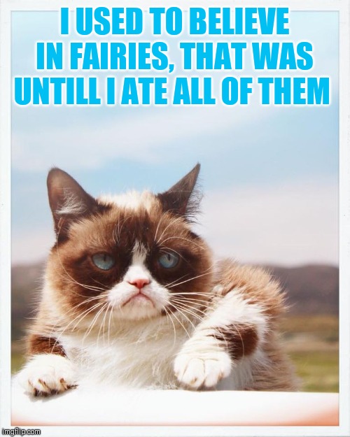 I USED TO BELIEVE IN FAIRIES, THAT WAS UNTILL I ATE ALL OF THEM | made w/ Imgflip meme maker